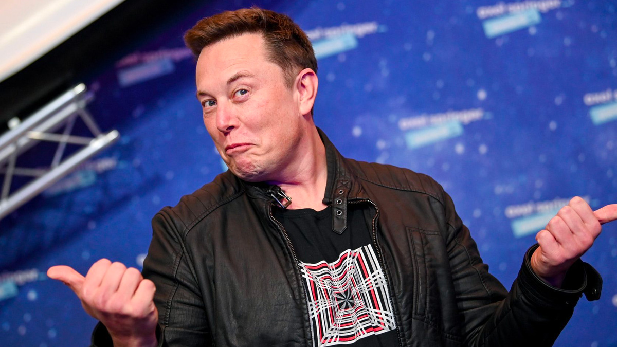 Elon Musk abbandona twitter, il social perde quasi l'8% in borsa