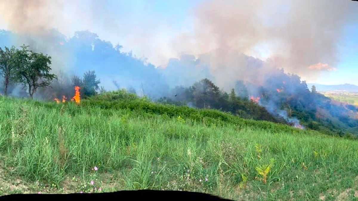 Incendi a Roma, 30 ettari in fumo: fermato un 54enne di Riano