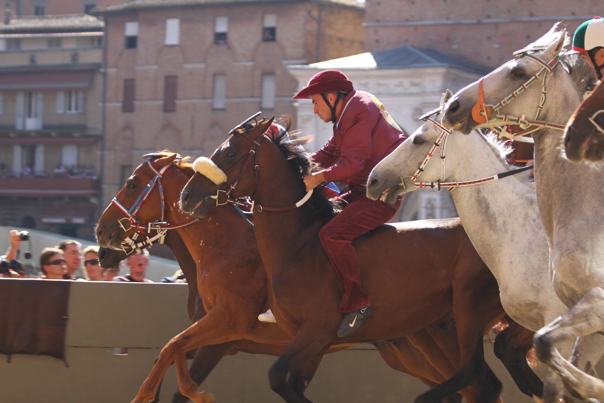 Palio di Siena: a Chiocciola e Leocorno le prime due prove