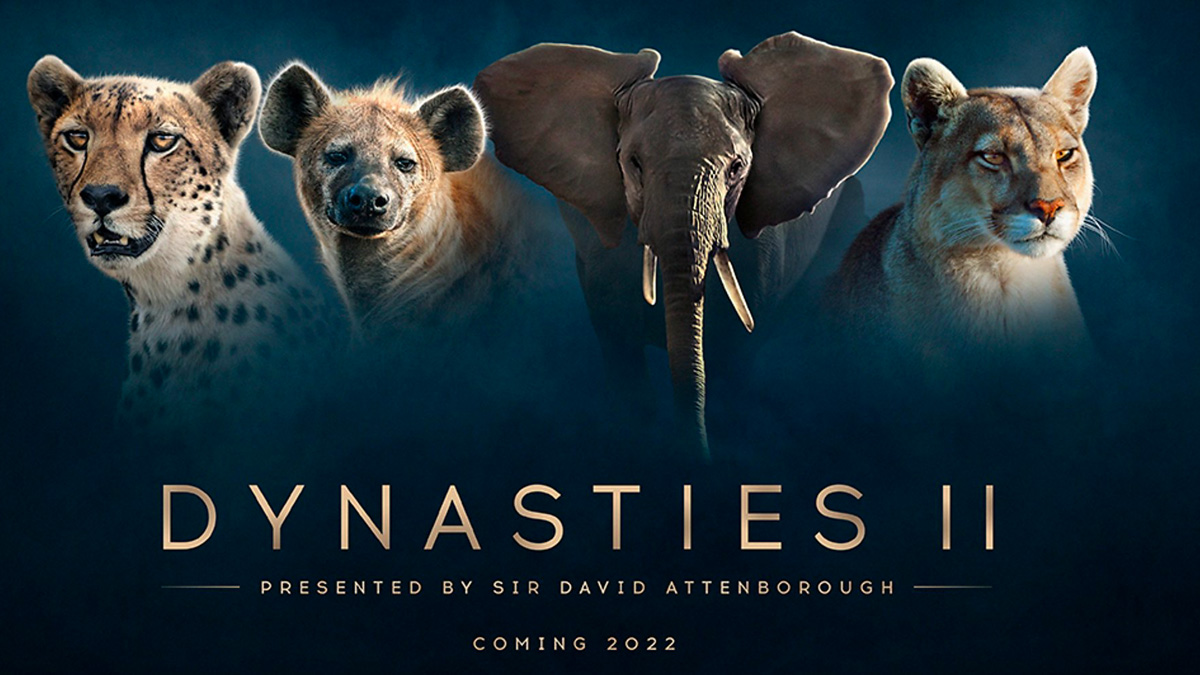 "Dynasties II - L'avventura della Vita", questa sera alle 21.20 su Rete4 lo spettacolo della natura firmato Bbc