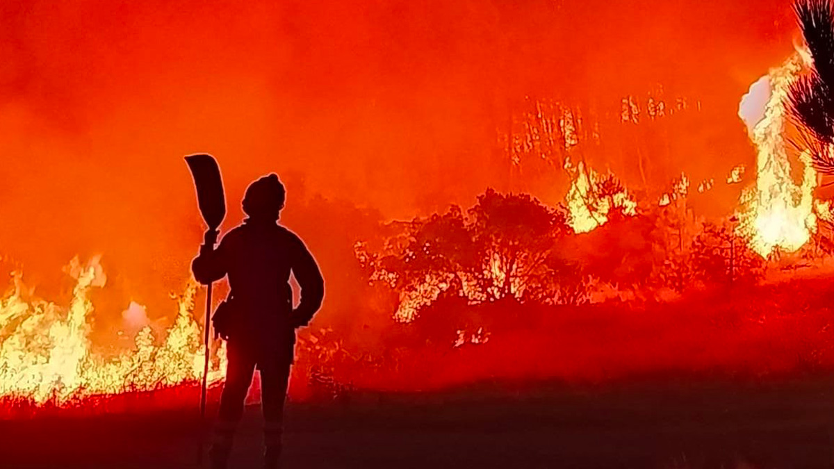Incendi, nei pressi di Madrid va a fuoco il parco nazionale di Monfragüe: evacuazioni e strade bloccate