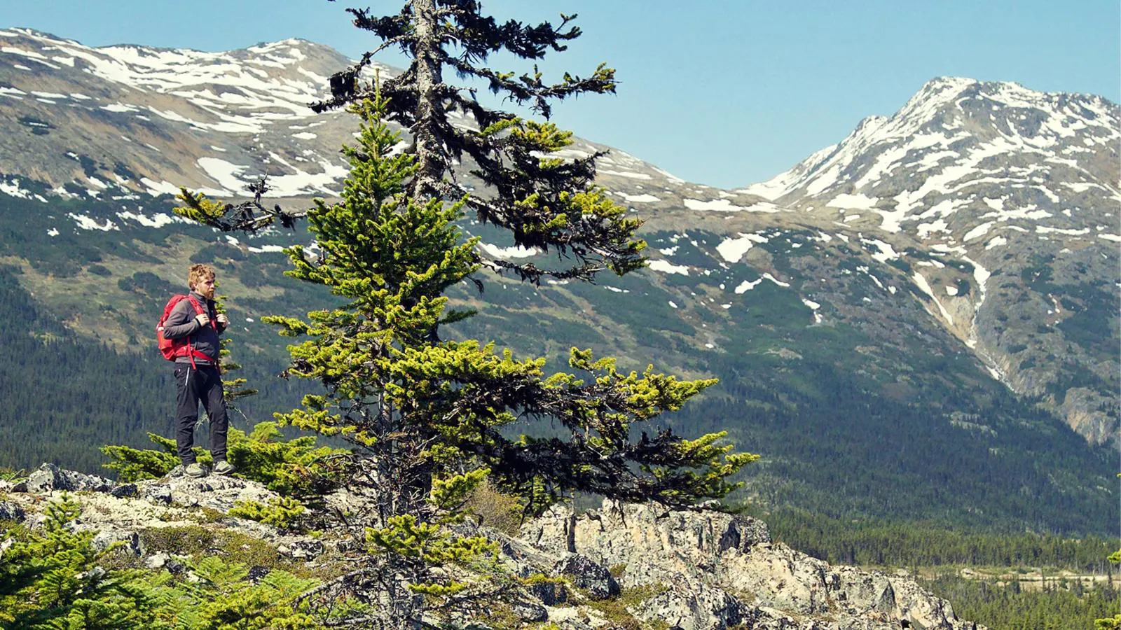 &ldquo;Sogni di grande nord&rdquo; questa sera alle 21.25 su Rai 2: le anticipazioni del documentario