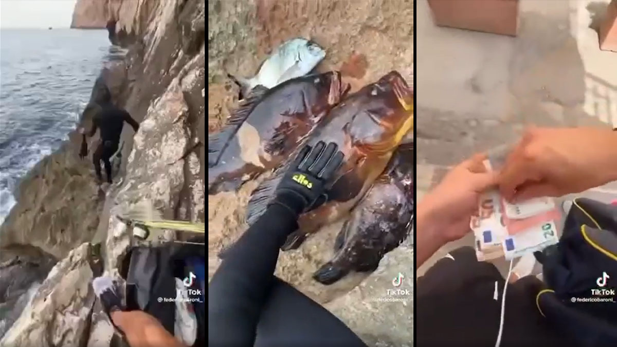 Alghero, pescano in un'area protetta e postano il video sui social: due turisti denunciati