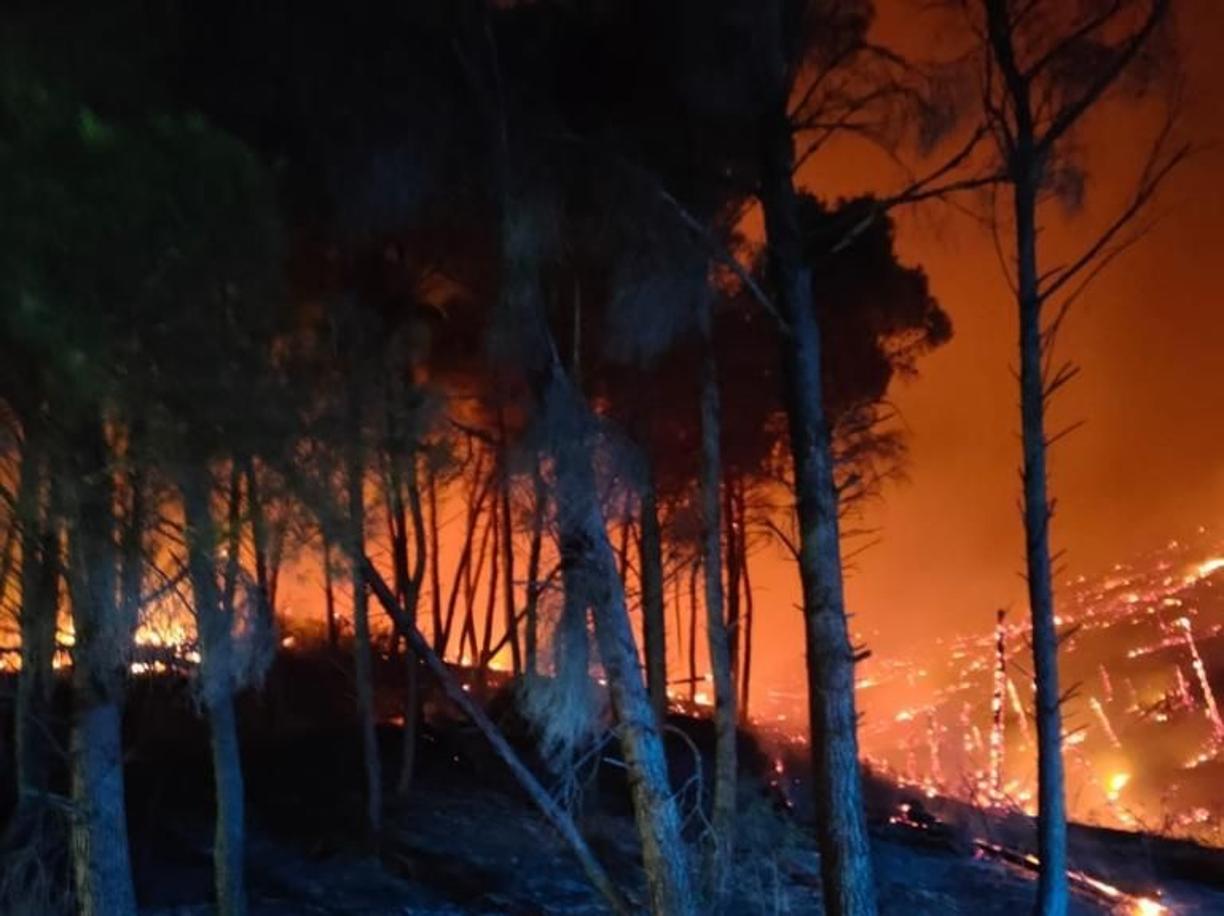 Sant'Agata di Puglia, l'incendio non si ferma: in fumo oltre 50 ettari di bosco