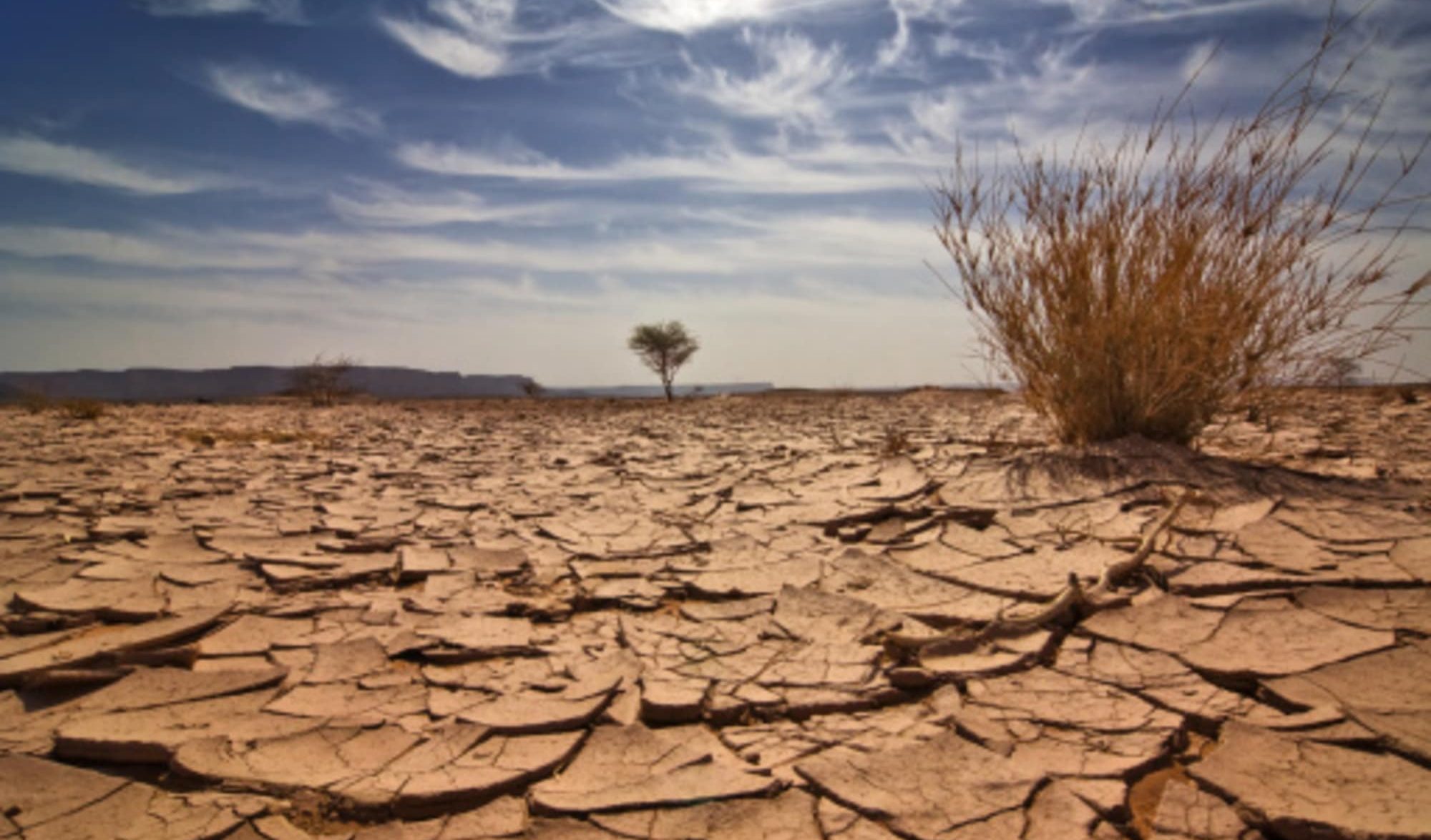 Cop28: "Aiuti per il clima che indebitano i paesi fragili e devastati dalla guerra"