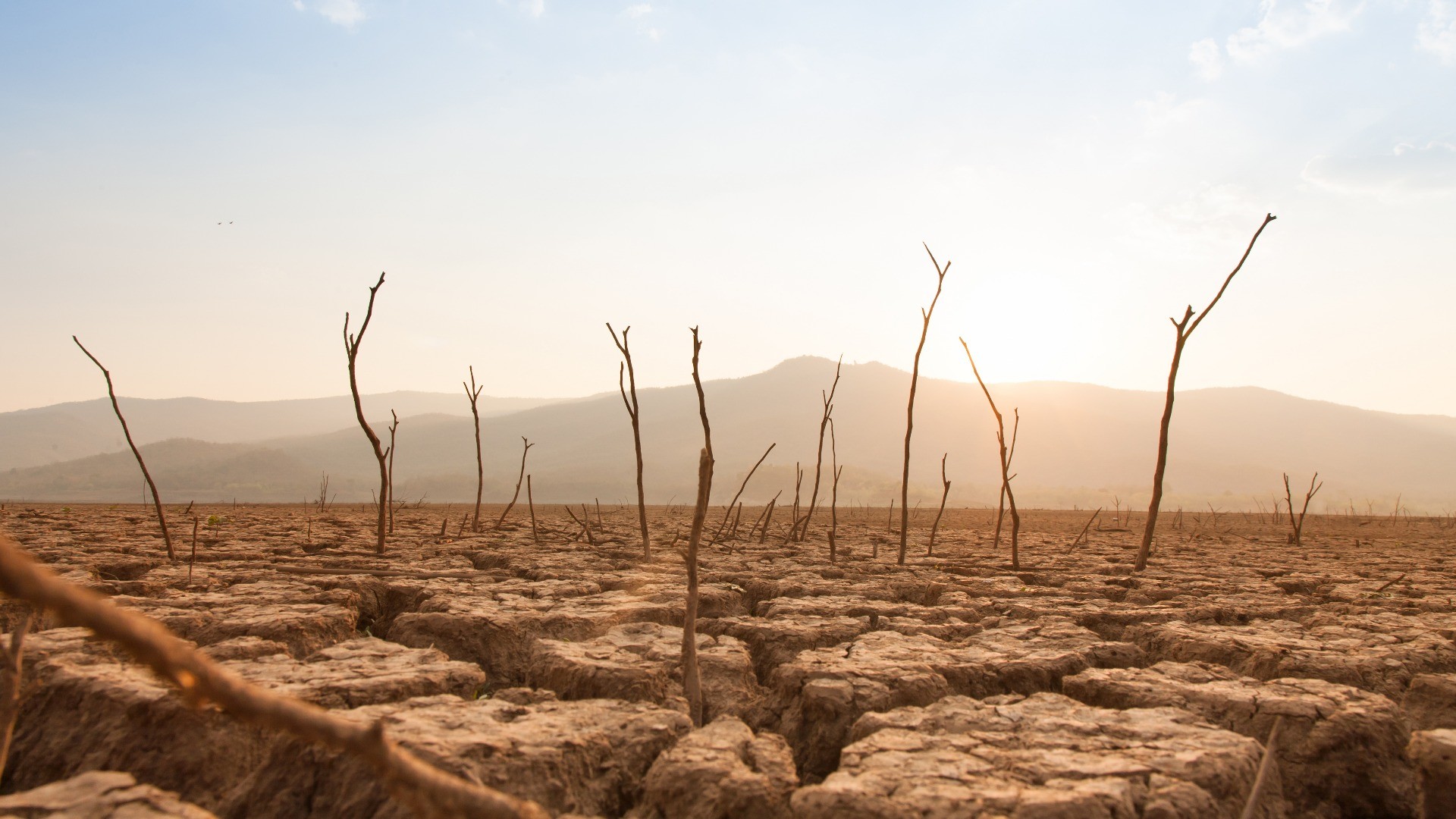 La crisi climatica affama il mondo: il rapporto Oxfam che inchioda i grandi della Terra