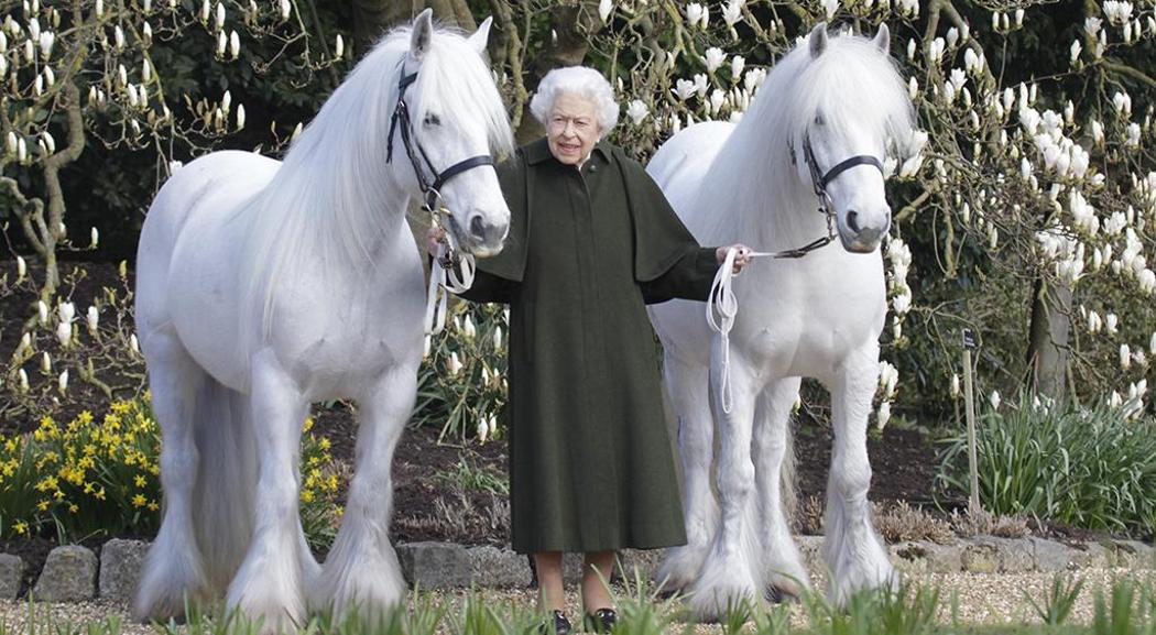 Re Carlo III 'il risparmiatore': vende anche i  12 cavalli della scuderia di Elisabetta