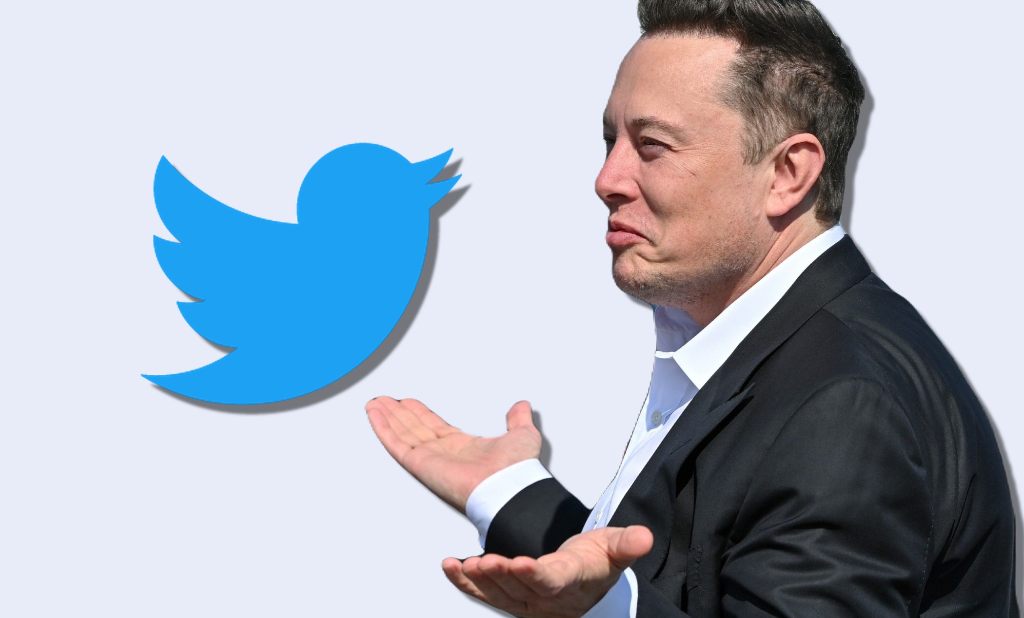 Elon Musk non esclude il fallimento di Twitter