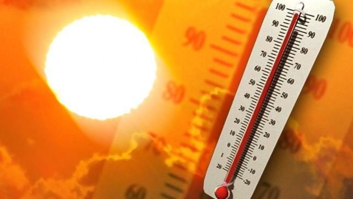 Clima, l'Onu: "La prima settimana di luglio è stata la più calda mai registrata nel pianeta"