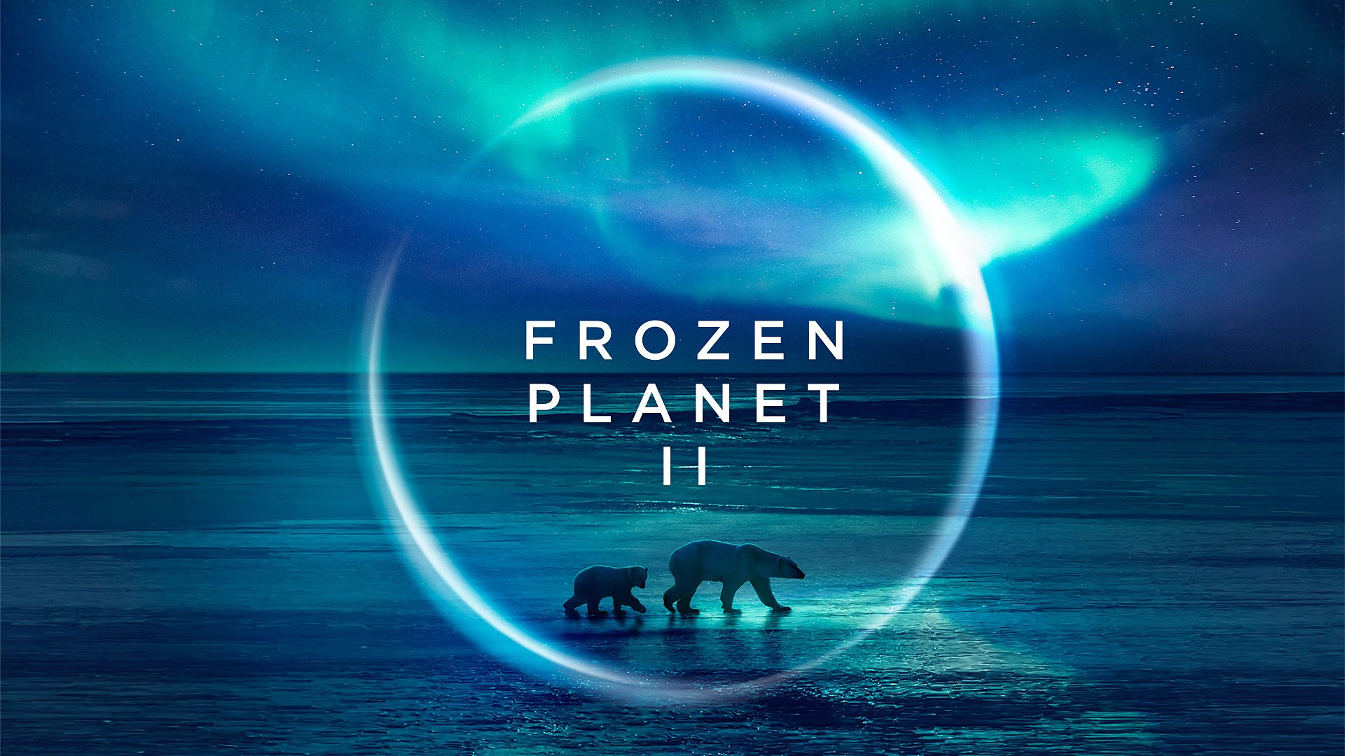 "Frozen Planet II", questa sera alle 21.30 su Rete 4: il meraviglioso documentario in prima assoluta
