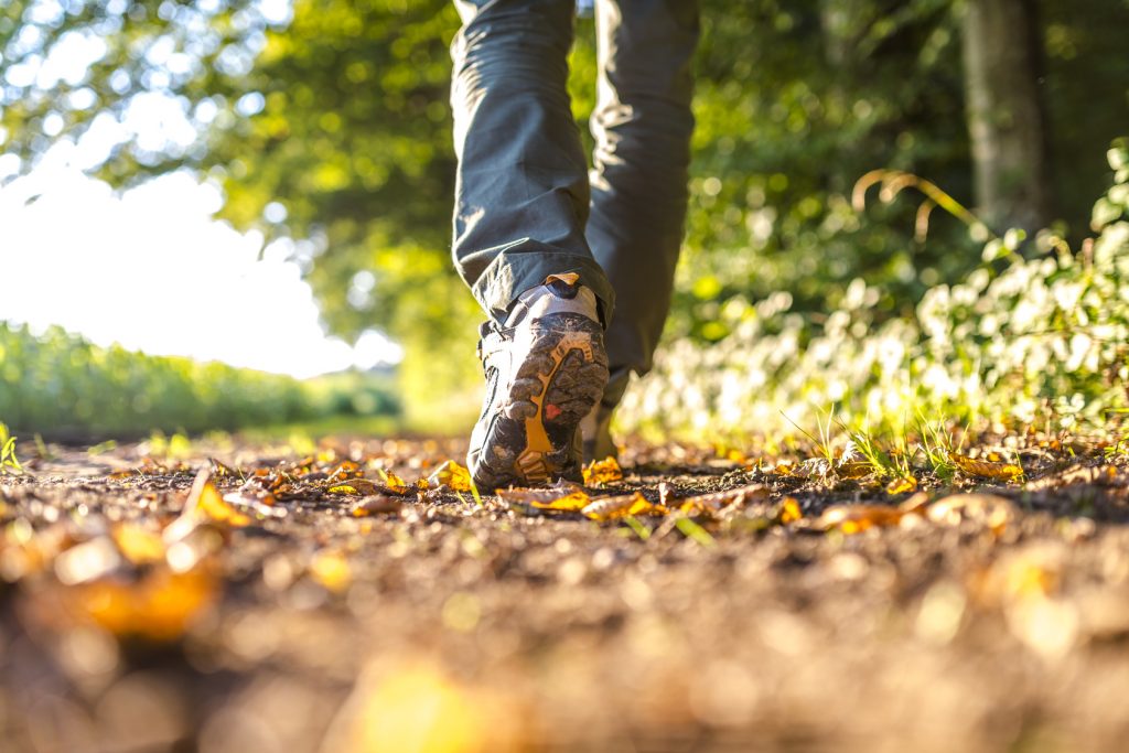 Chi fa lunghe passeggiate nel verde usa meno antidepressivi