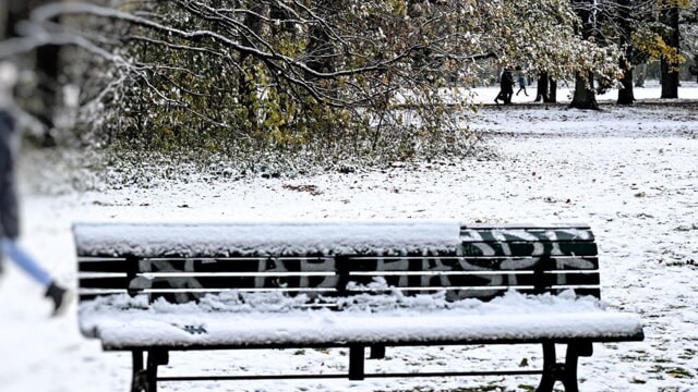 Una bimba di 5 anni è stata uccisa in un parco a Berlino: fermato un diciannovenne