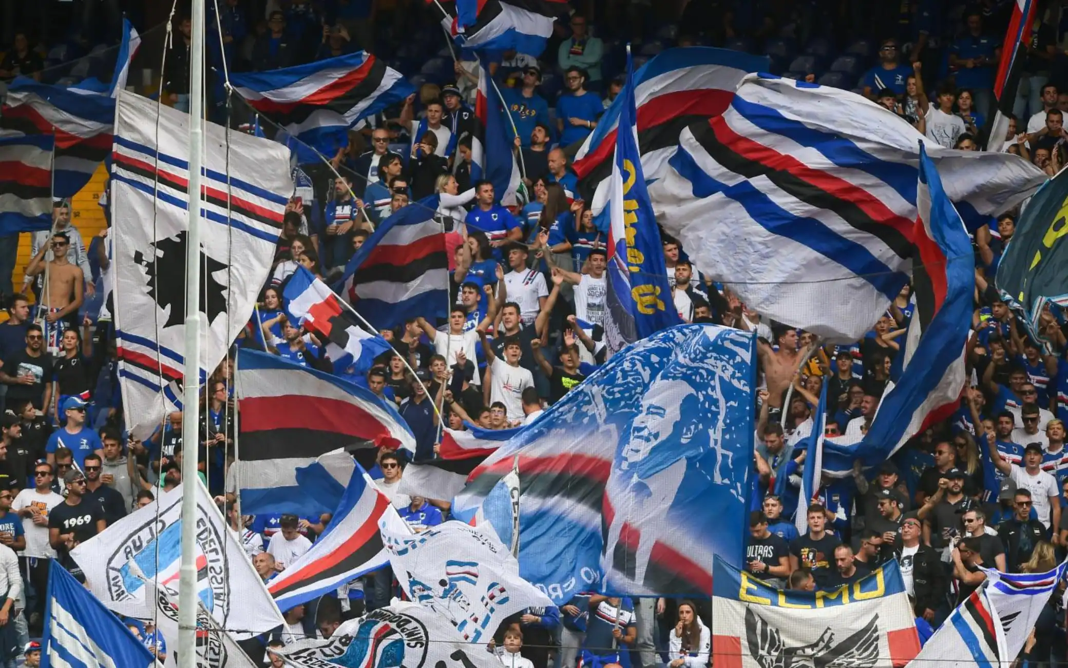 Sampdoria, una testa di maiale fuori dalla sede: "Ferrero, la prossima testa sarà la tua"