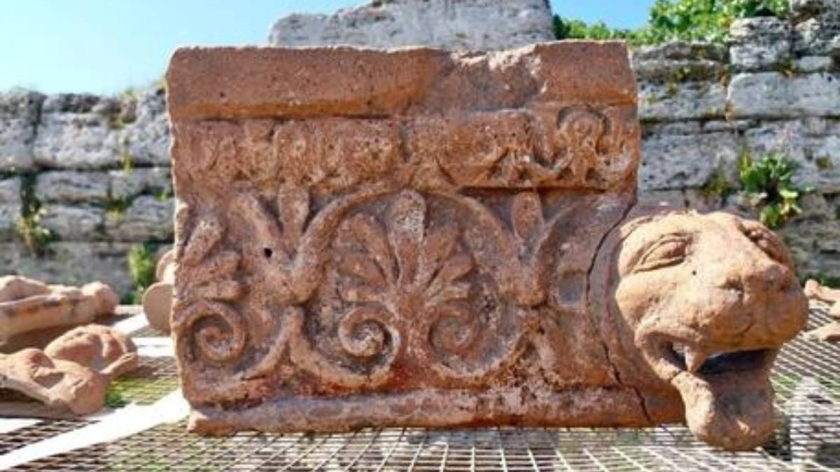 Eros, Delfini: le scoperte di Paestum possono cambiare la conoscenza della città antica