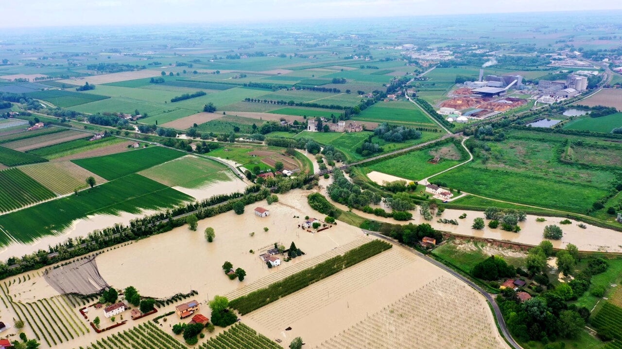 Alluvione: in Romagna 10 milioni di piante da frutto dovranno essere estirpate