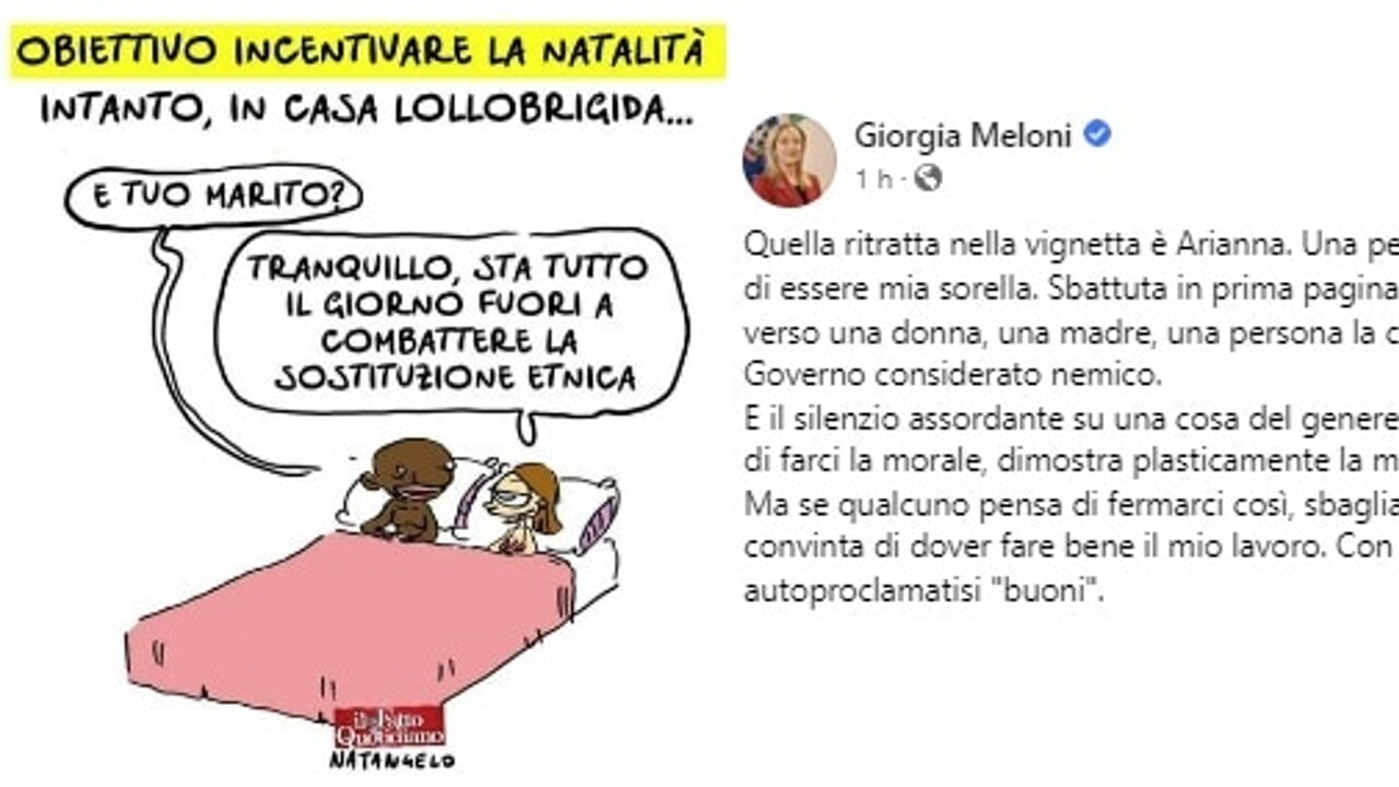 Sostituzione etnica, il vignettista Natangelo: "Procedimento disciplinare nei miei confronti, risponderò"