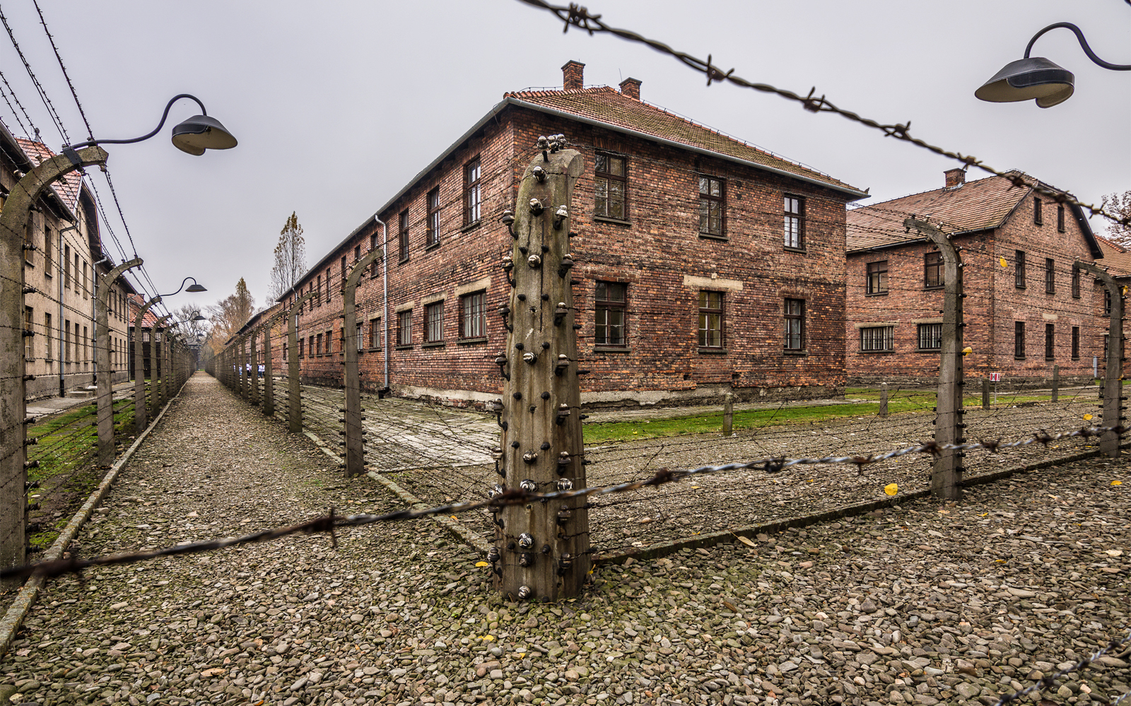 Il 14 giugno 1940 entrò in funzione Auschwitz: un giovane tedesco su 5 non sa cosa sia