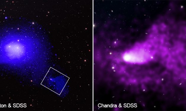 Un'immersione spettacolare nel cluster della Chioma: scoperta una lunga coda di gas galattico