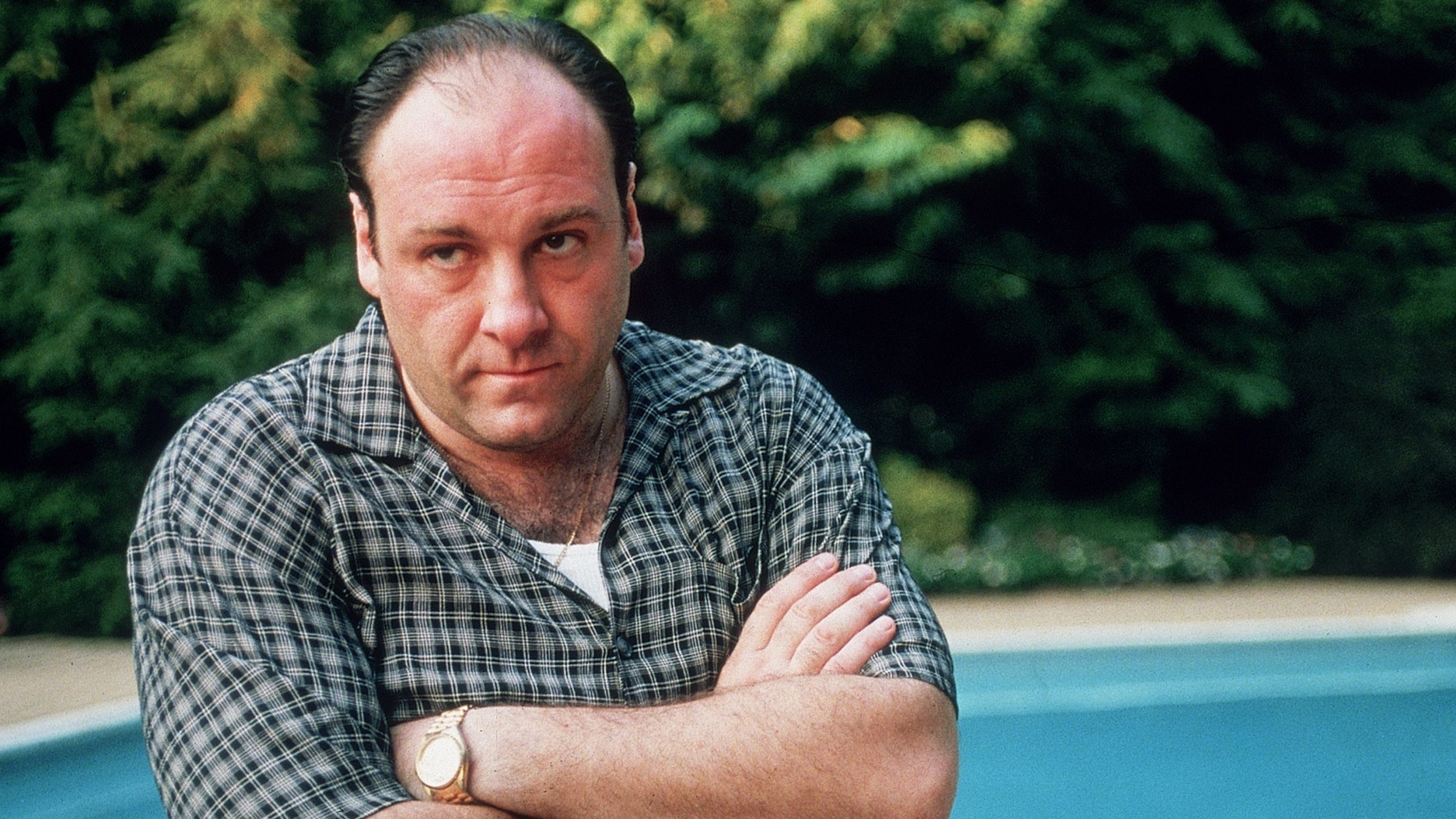 James Gandolfini: l'americano d'Italia volto dei 'Sopranos'