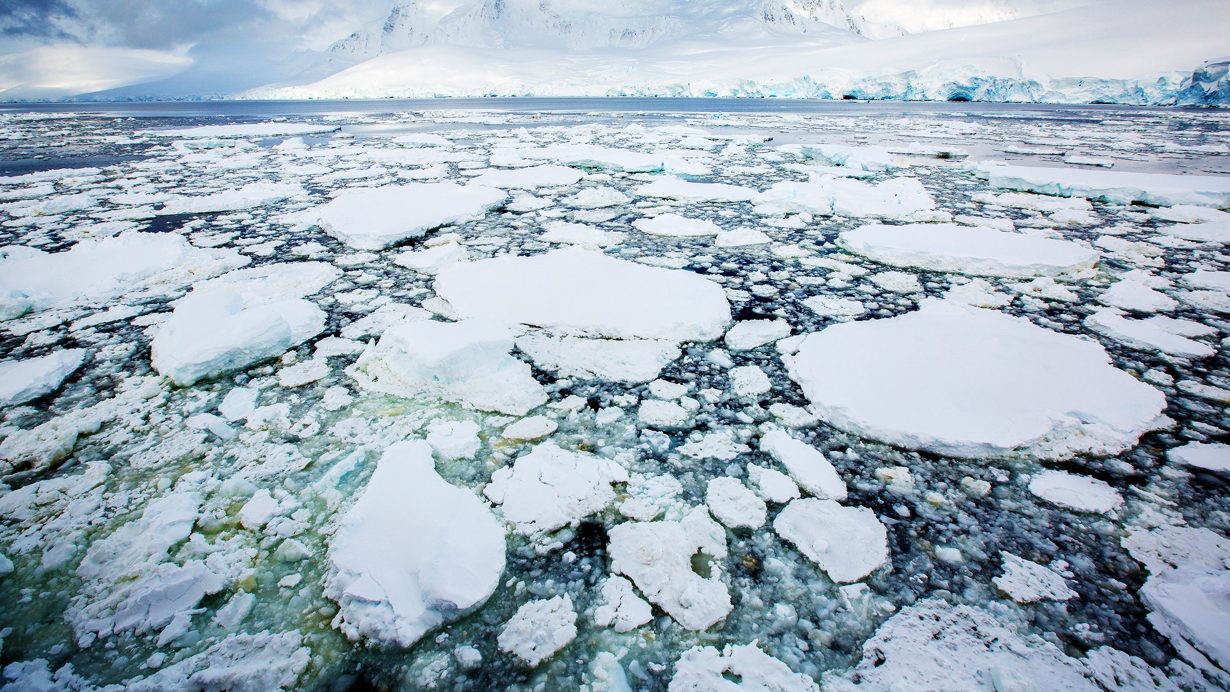 Clima, la calotta dell'Antartide si scioglie: manca un'area di ghiaccio marino grande come l'Argentina