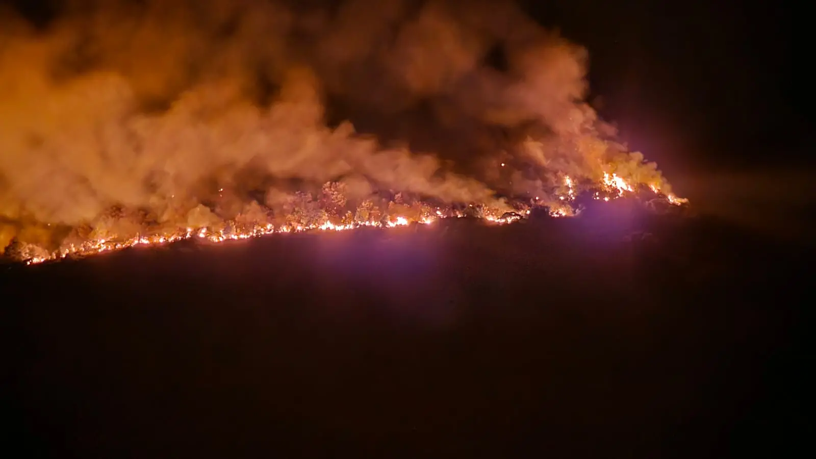 Incendio all'Isola d'Elba, evacuate centinaia di persone: il vento non aiuta i soccorsi
