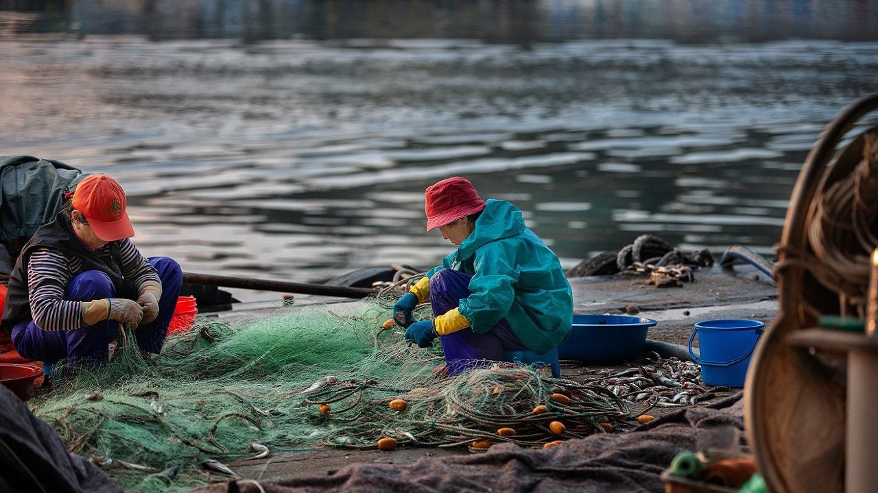 Fukushima, la Cina protesta e blocca l'importazione di pesce: "Egoisti e irresponsabili"