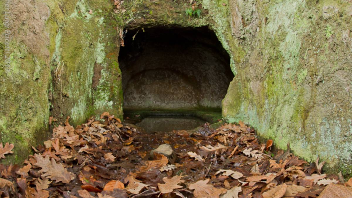 Alla scoperta della Necropoli Etrusca delle Caldane: un tesoro nascosto tra i boschi di Castel Viscardo