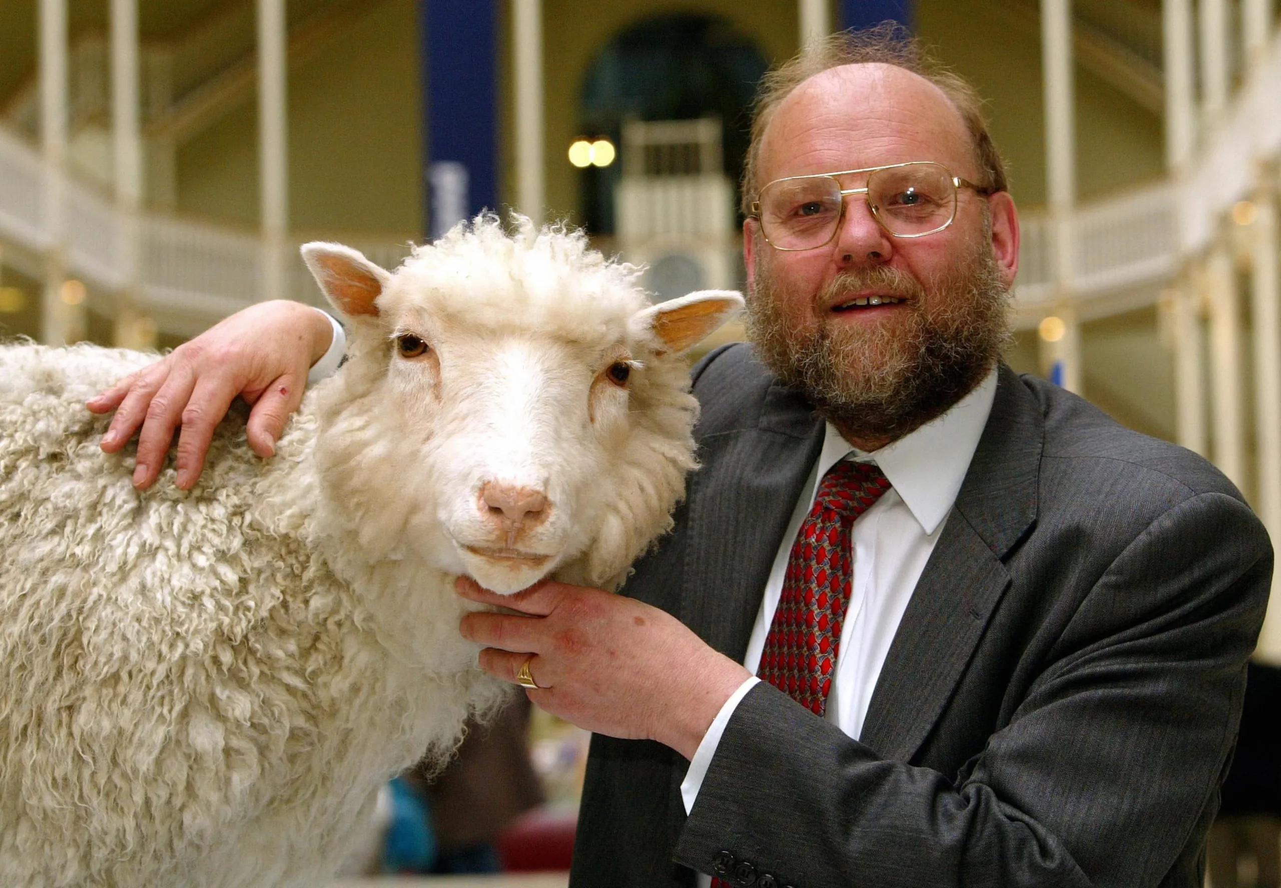 E' morto il "padre" della pecora Dolly: Ian Wilmut aveva 79 anni