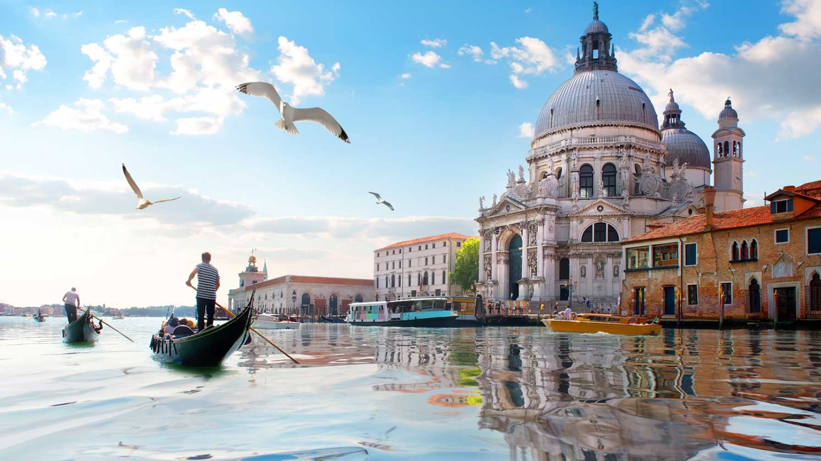 Unesco: "Venezia non è tra i siti patrimonio dell’umanità a rischio". Ecco perché è un ottima notizia