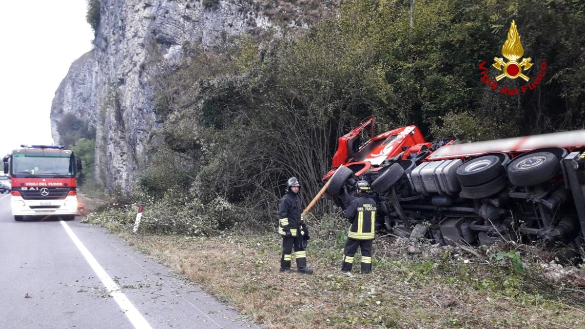 Camionista investe un cervo e muore nell'impatto con l'animale nella cabina del tir