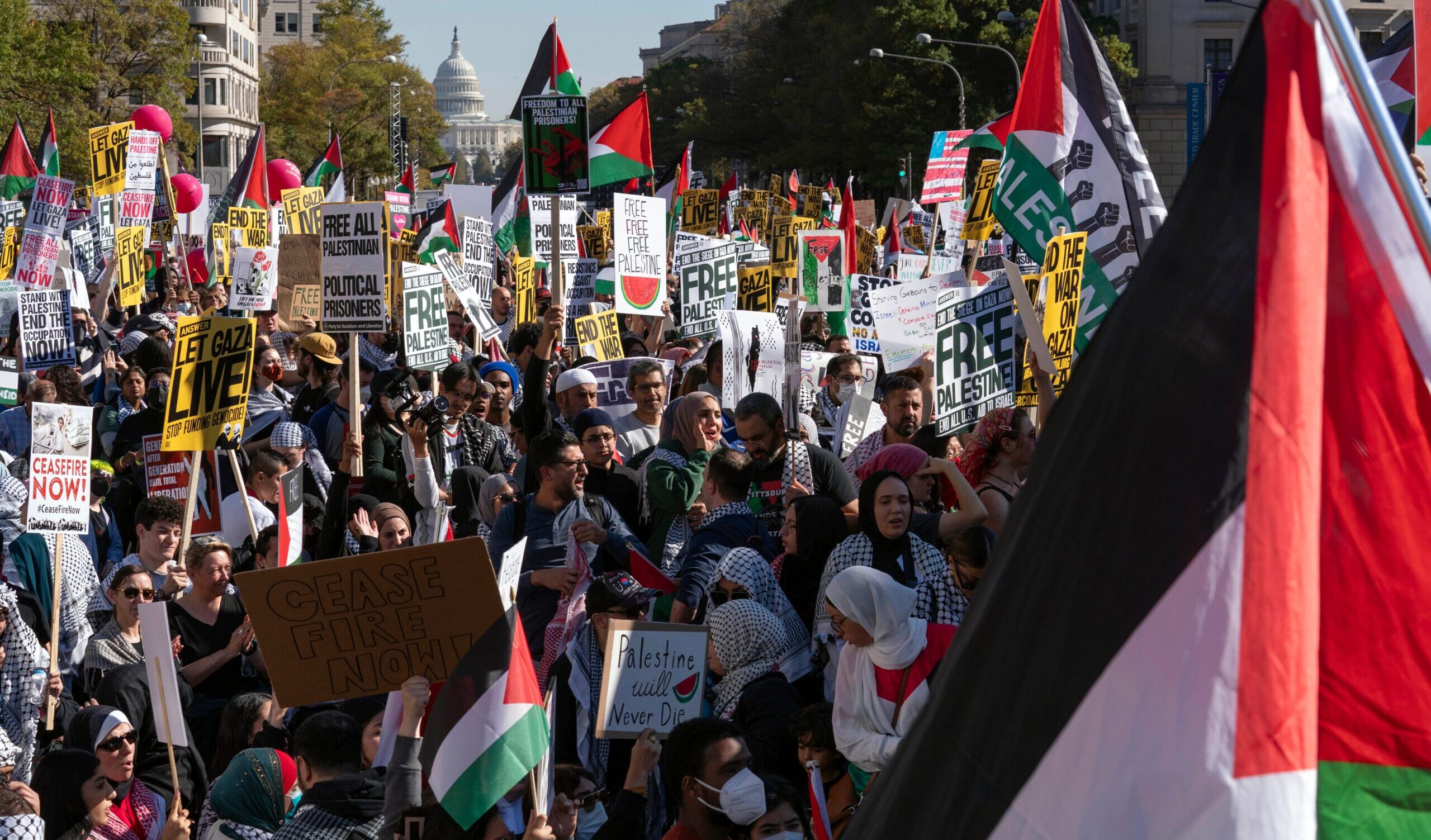 Washington, manifestazione per il cessate il fuoco a Gaza: contestato Biden