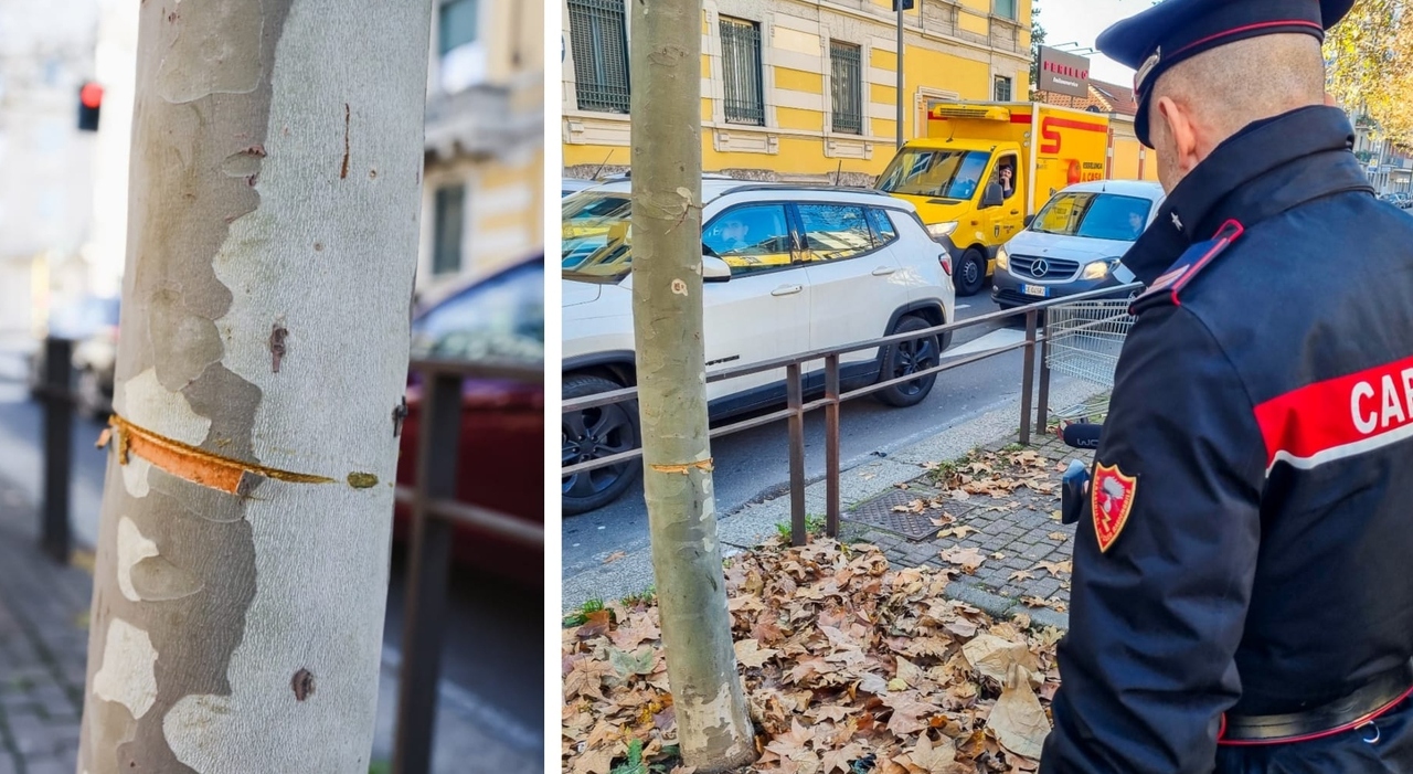 Avevano teso un cavo d'acciaio sulla strada, condannati i tre giovani: dovranno scontare fino a 3 anni