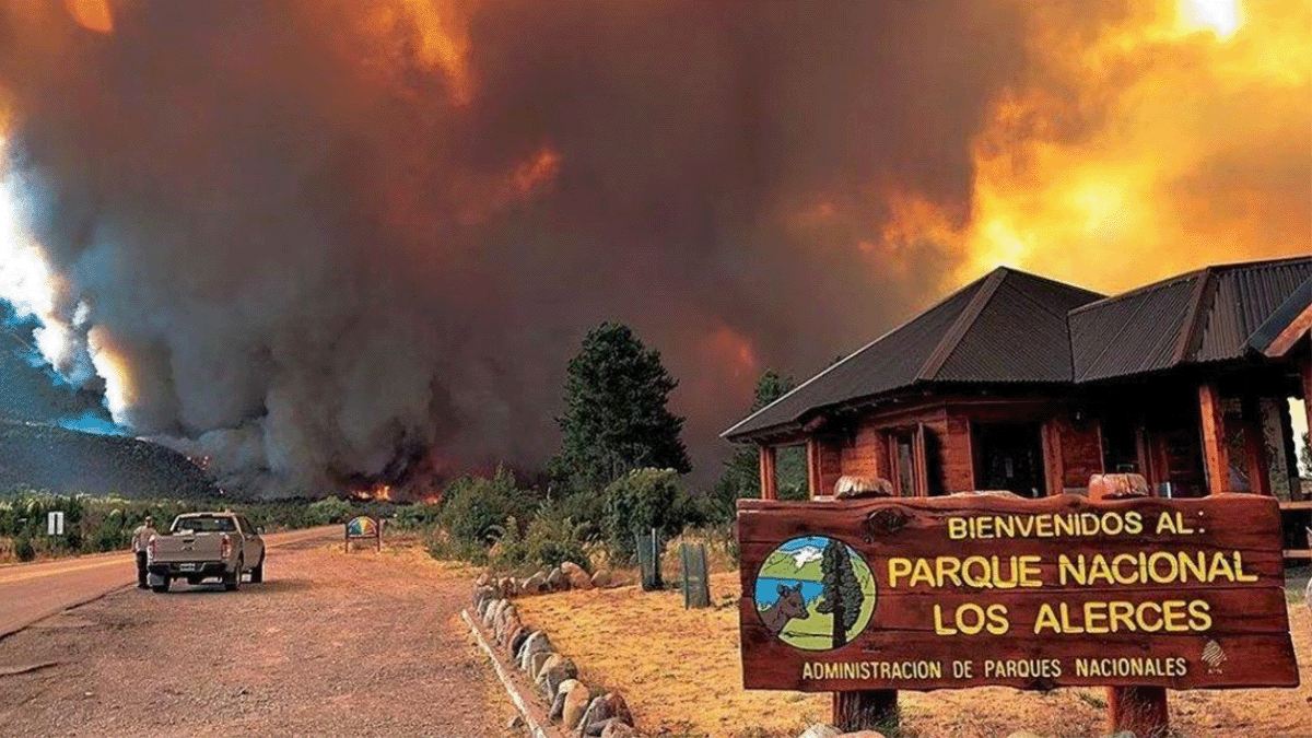 Incendio doloso in Patagonia, 600 ettari di bosco in fumo: le autorità accusano gli indigeni, ma non c'è da fidarsi