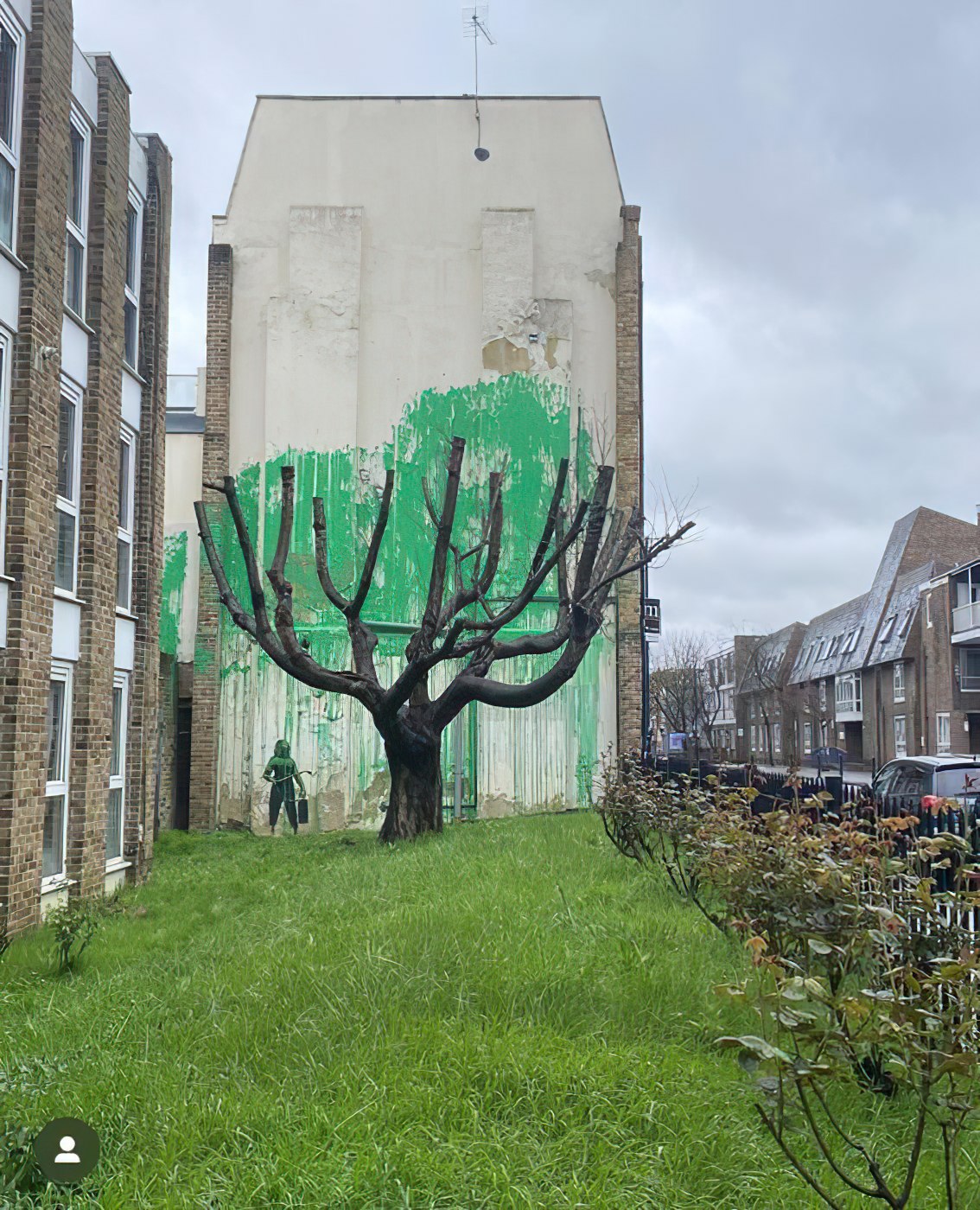Sulla parete di una palazzina londinese un'opera "ecologista" di Banksy