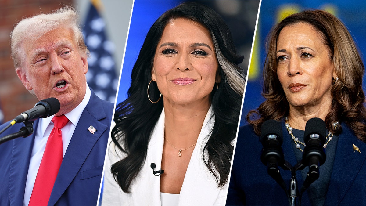 Trump si prepara al duello con Harris con l'aiuto di Tulsi Gabbard, ex democratica passata alla corte di Donald Trump si prepara al duello con Harris con l'aiuto di Tulsi Gabbard, ex democratica passata alla corte di Donald