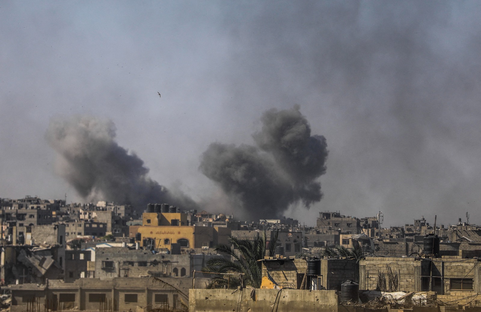 Oltre 300 scrittori francofoni chiedono sanzioni contro Israele e definiscono la guerra a Gaza un genocidio