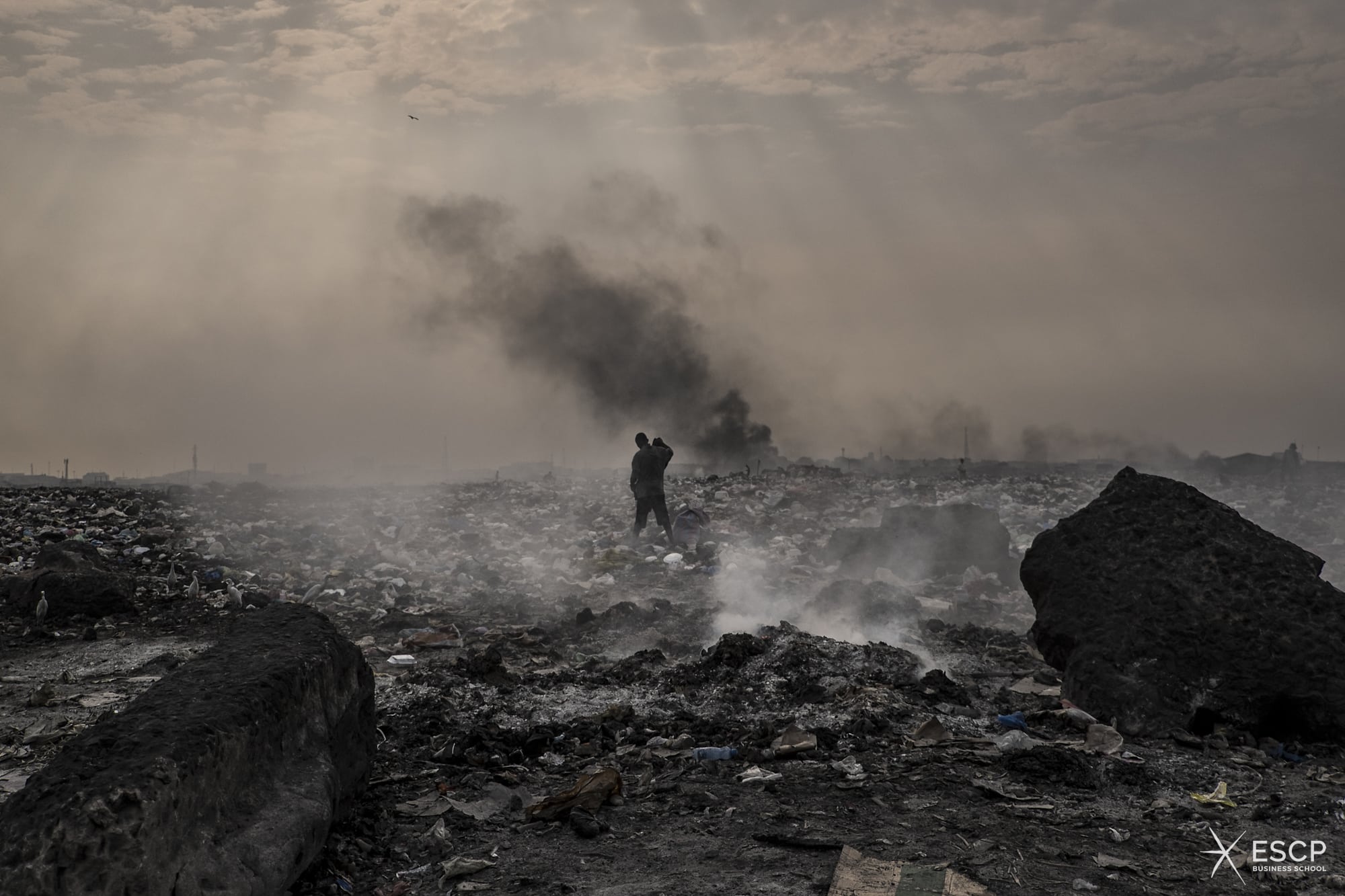 La logica delle leggi del mercato, dove niente è gratis e tutto si vende o si compra ci rende schiavi