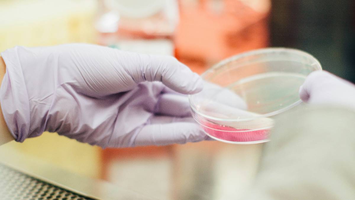 L'Europa finanzia la ricerca scientifica con nuovi incentivi