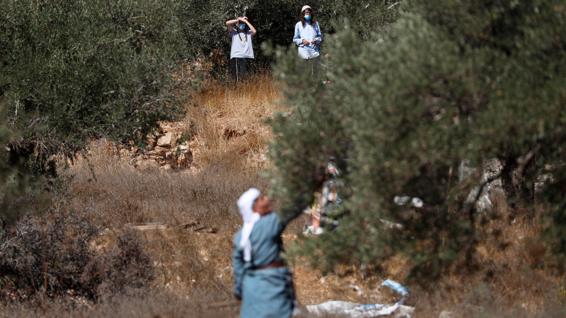 Coloni e soldati israeliani ancora contro i contadini palestinesi: la stagione delle olive diventa un incubo