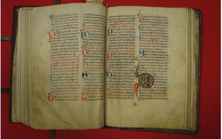 Cortigiana: quando il nuovo analfabetismo non distingue più il senso letterale da quello figurato delle parole