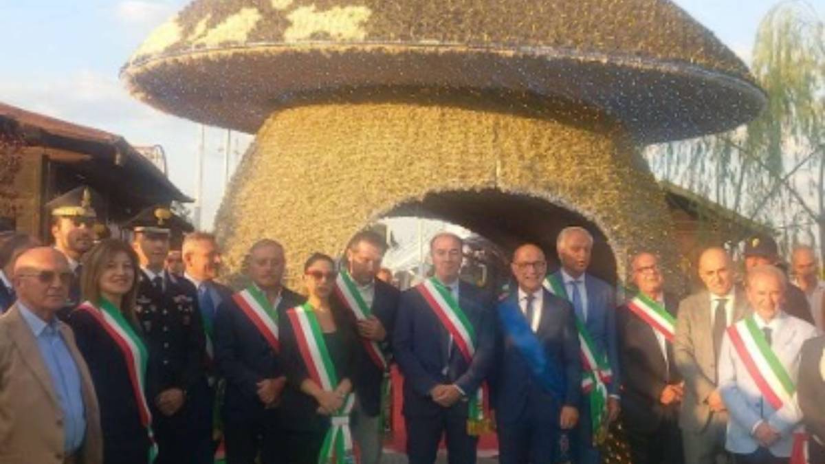 Lollobrigida, i funghi e  il ministro dei  miracoli amministrativi