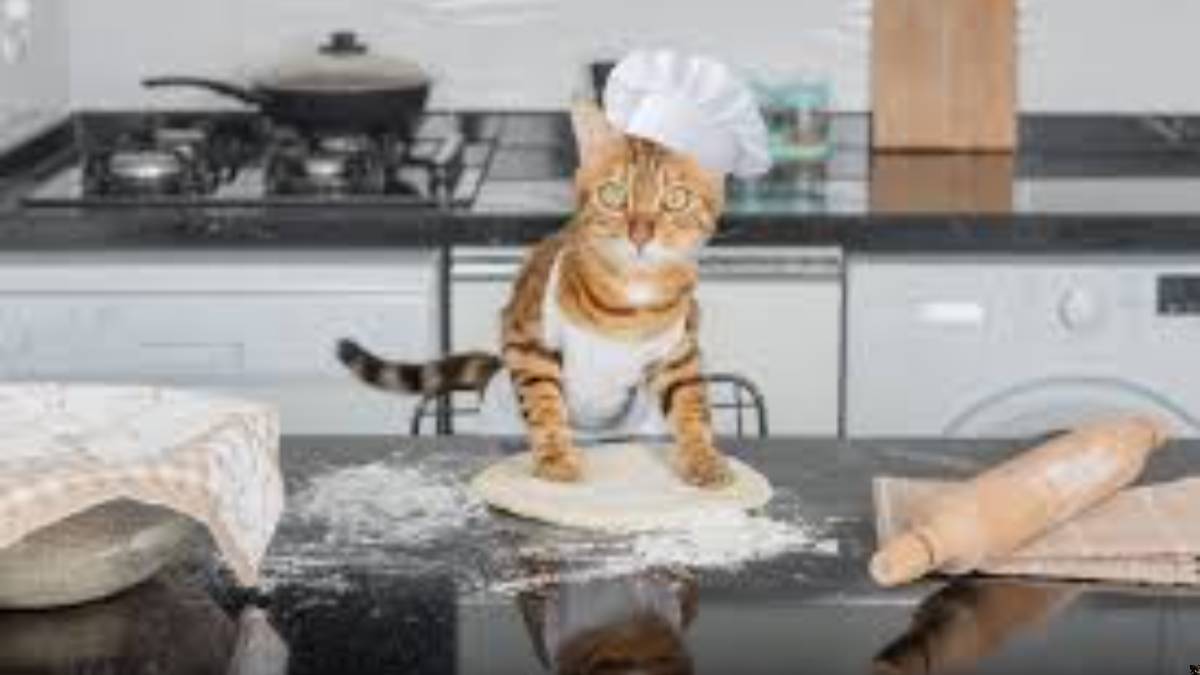 L&rsquo;AI Slop, la &ldquo;sbobba&rdquo; dell&rsquo;internet da capire e non solo demonizzare