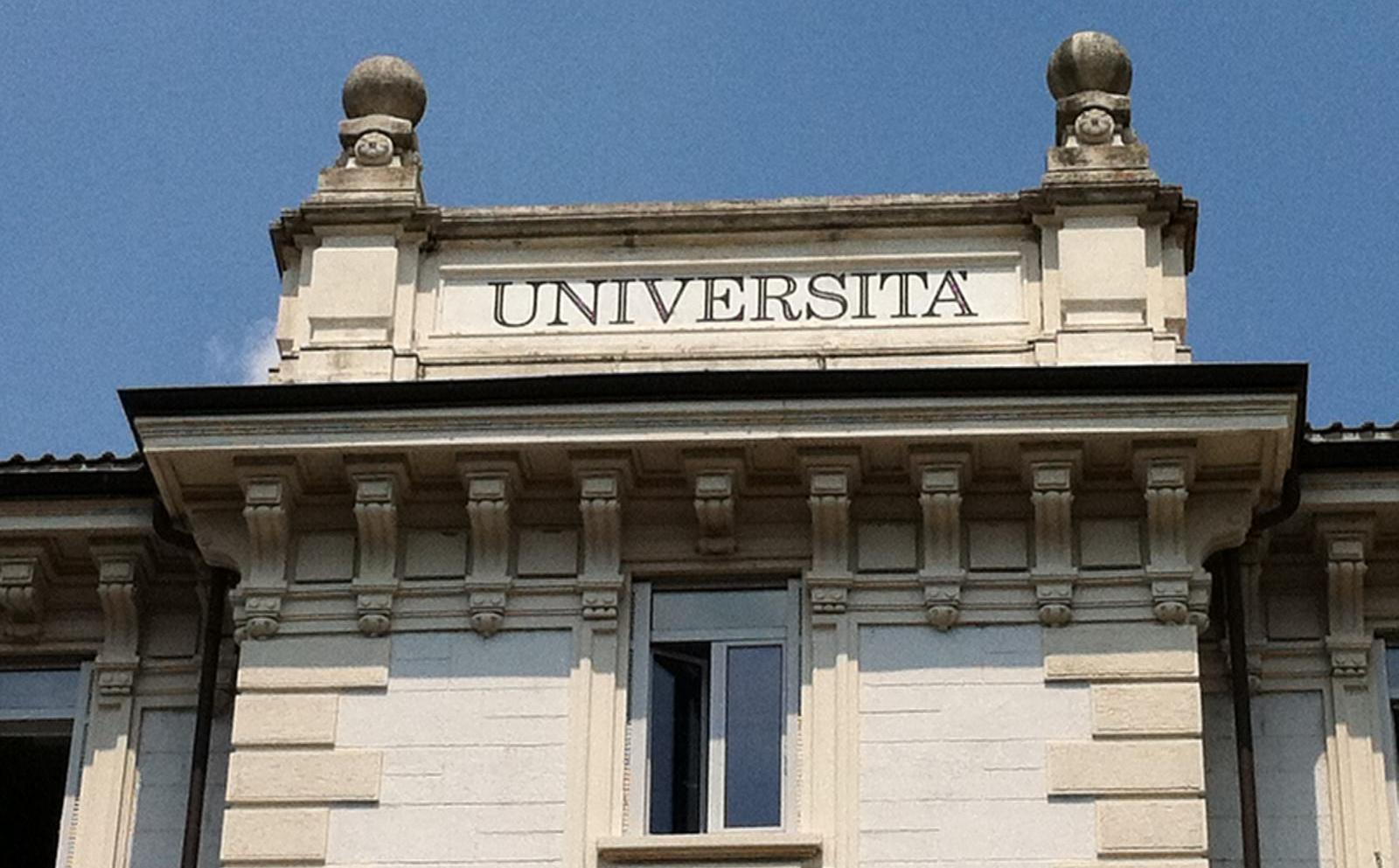 Per l&rsquo;autonomia, il finanziamento e la dignit&agrave; dell&rsquo;universit&agrave; e della ricerca: docenti e studiosi avvertono sui pericoli dell&rsquo;attuale riforma