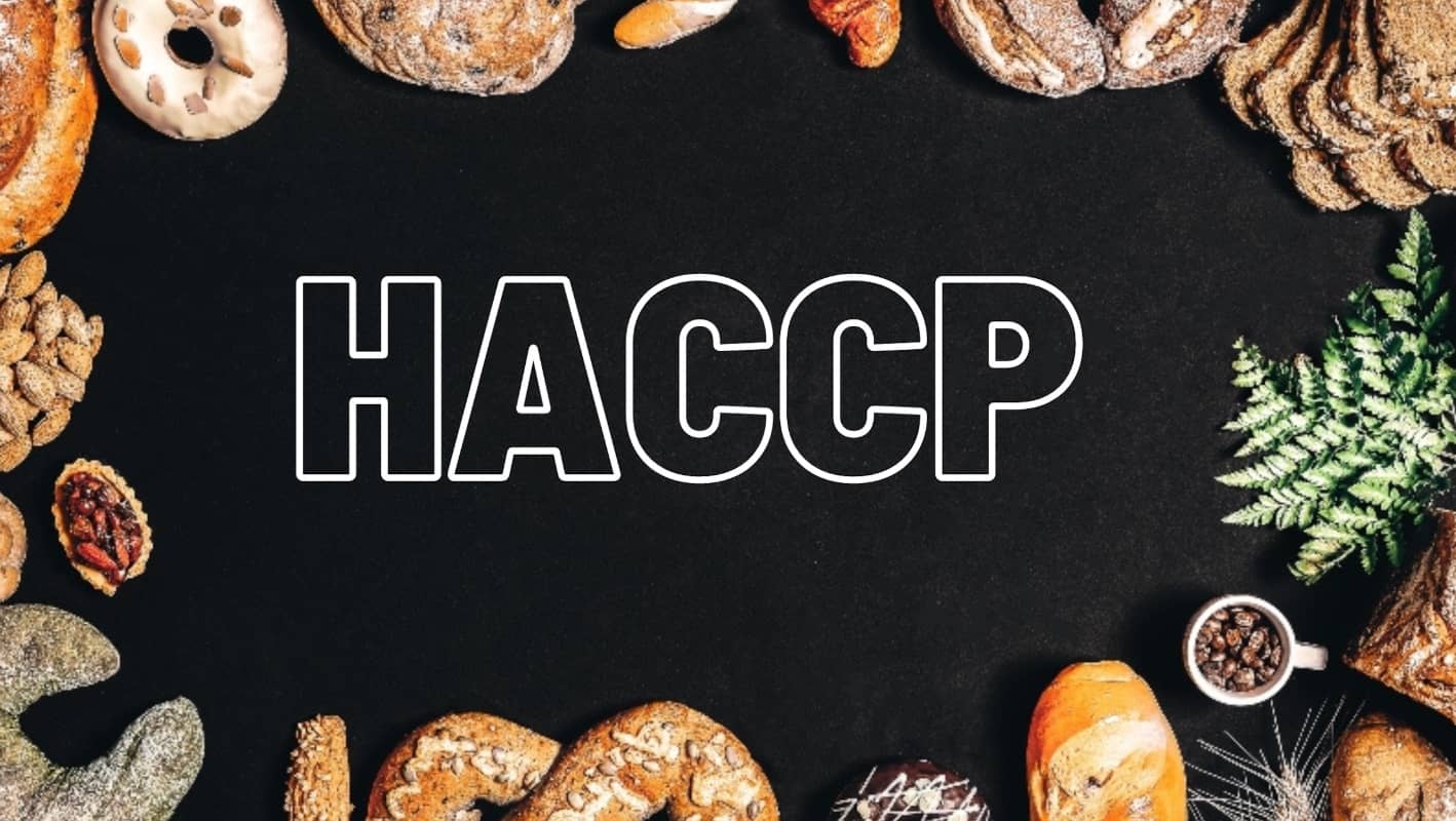 Lavorare nel settore alimentare oggi: quali certificazioni sono richieste