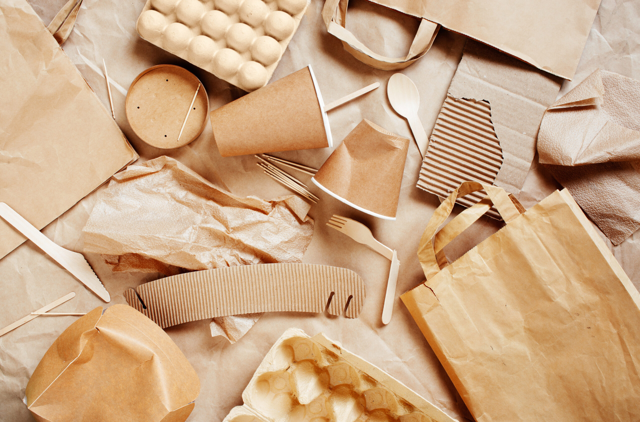 L&rsquo;analisi di Guadagnopack sul mercato 2026: la rivoluzione green riscrive le regole del packaging alimentare in Italia