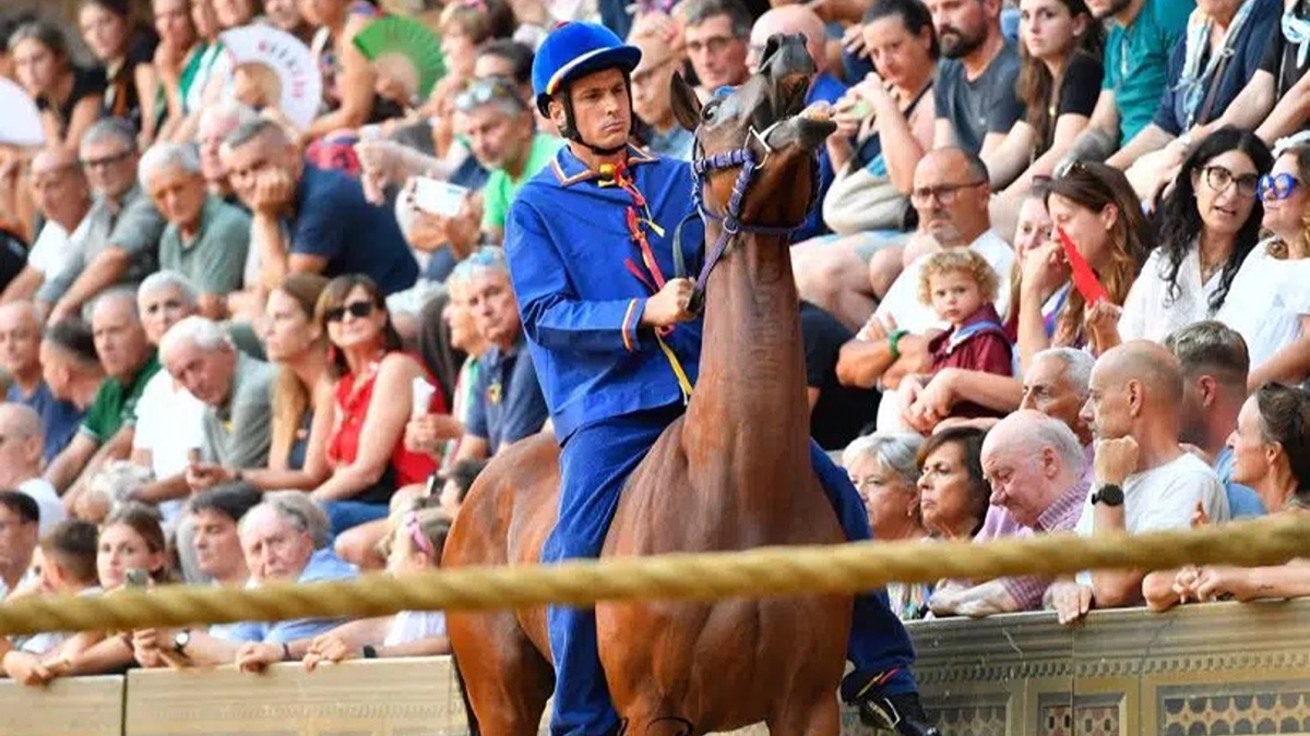 prima-prova-palio-agosto-2026-06-810×540.jpg Il Nicchio trionfa nel Palio dell’Assunta, per Tittia è la tredicesima vittoria